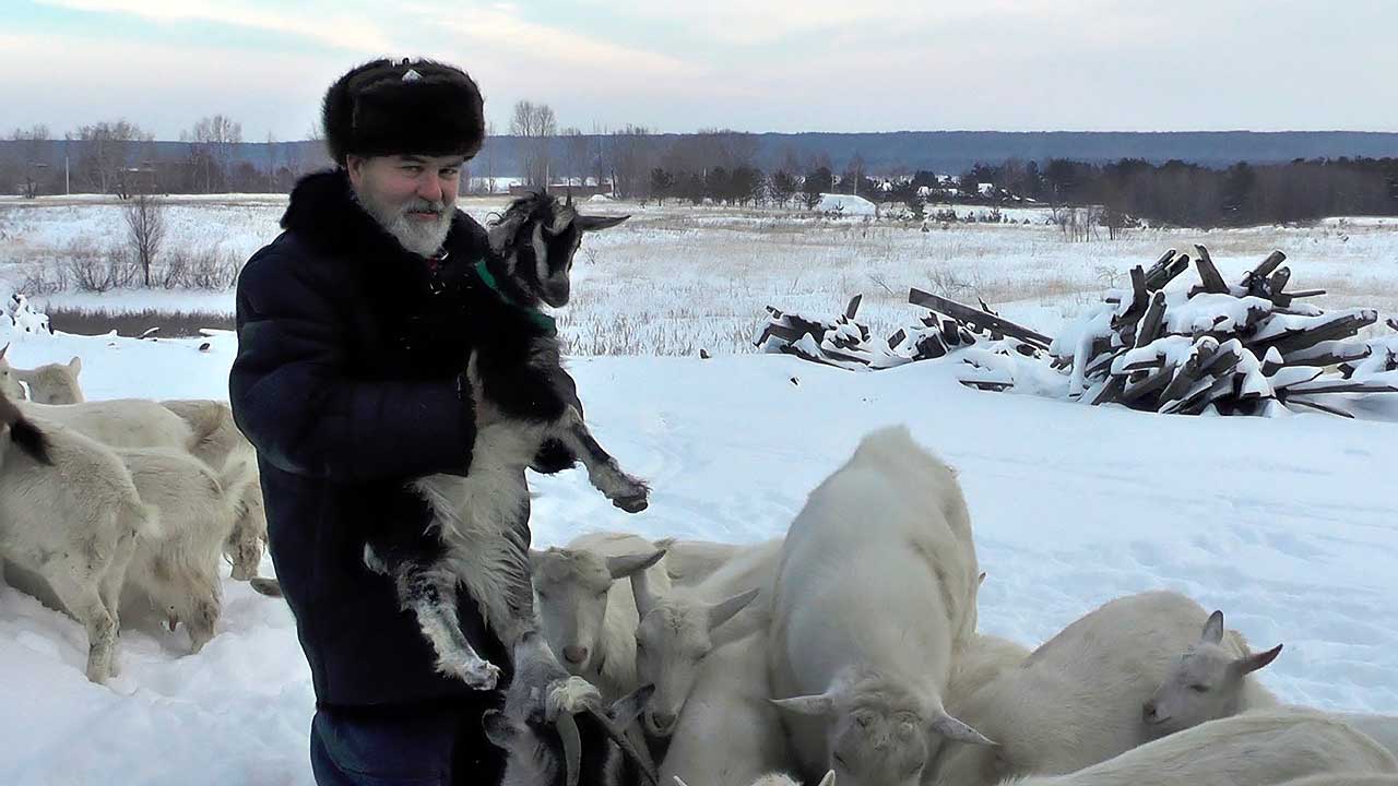 Фермерское хозяйство Мурата Сиразина